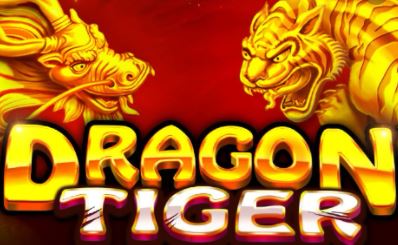 Dragon Tiger logo