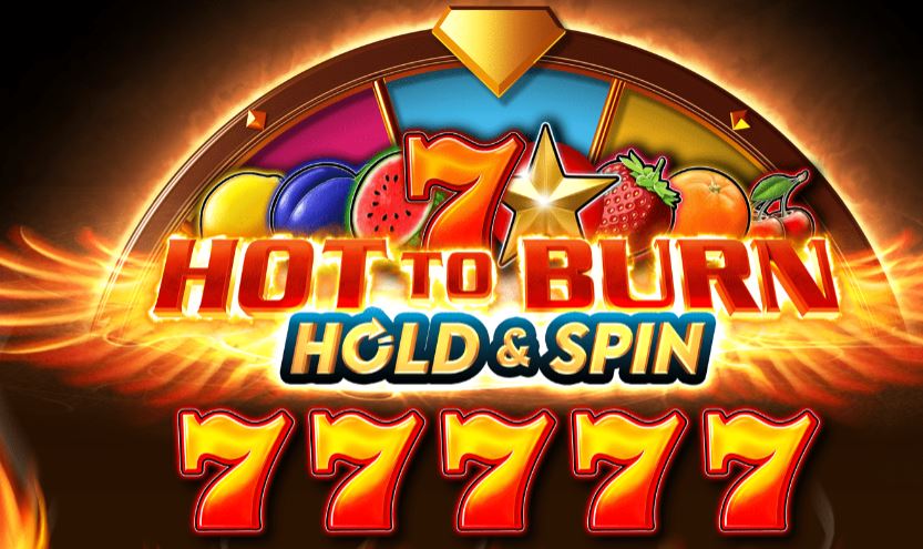 Hot to Burn: Hold & Spin logo